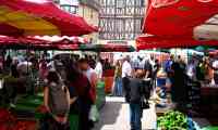Burgundy Market